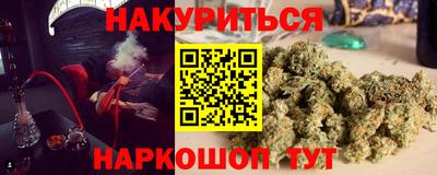 прущие грибы Лесосибирск
