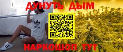 прущие грибы Лесосибирск
