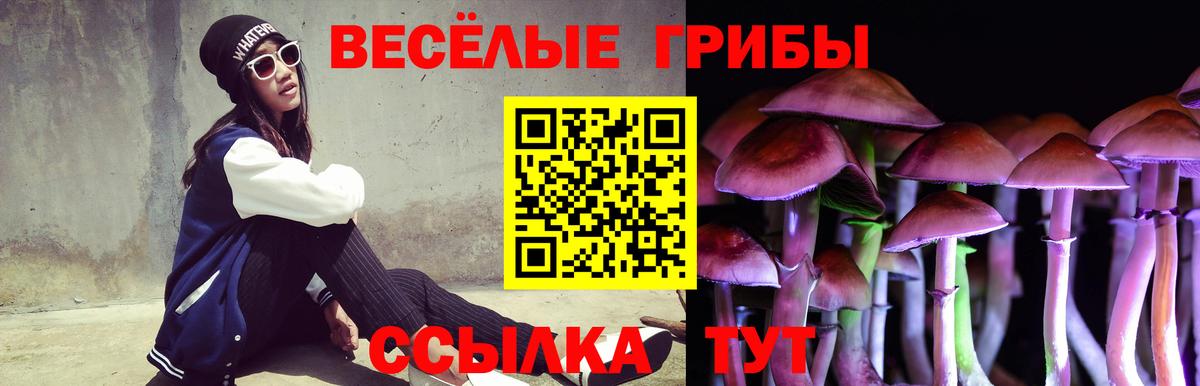 Шахты  где купить наркотик  Вход с VPN  Псилоцибиновые грибы прущие грибы 